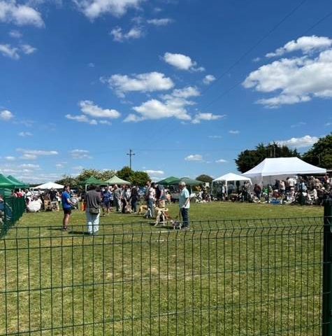 Show Ring Fencing 3